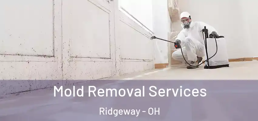 Mold Removal Services Ridgeway - OH