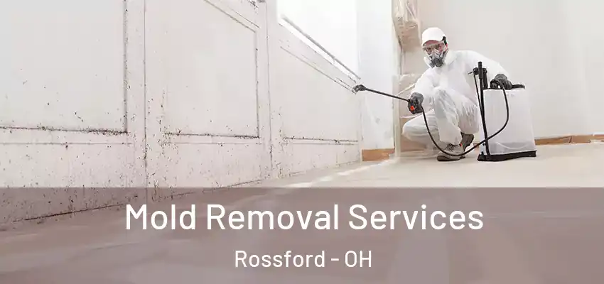 Mold Removal Services Rossford - OH