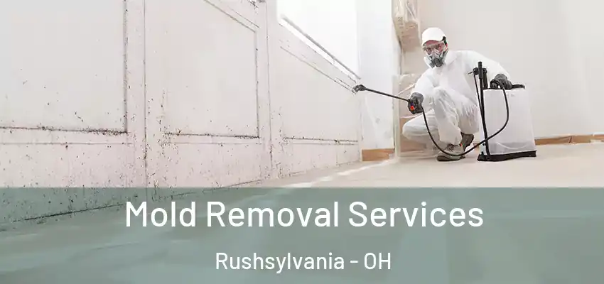  Mold Removal Services Rushsylvania - OH