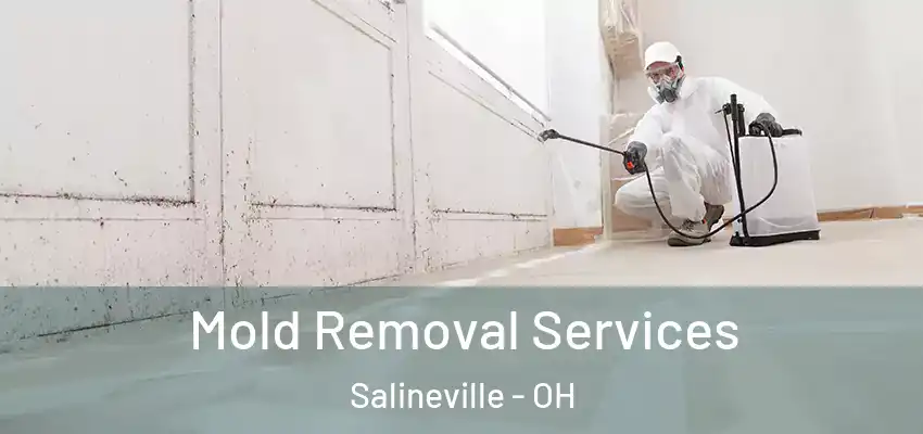  Mold Removal Services Salineville - OH