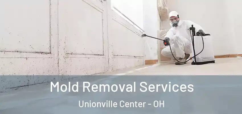 Mold Removal Services Unionville Center - OH