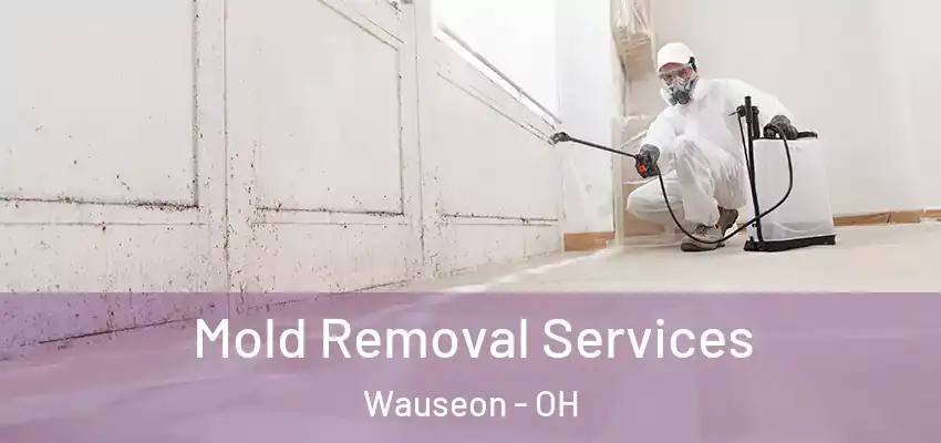  Mold Removal Services Wauseon - OH