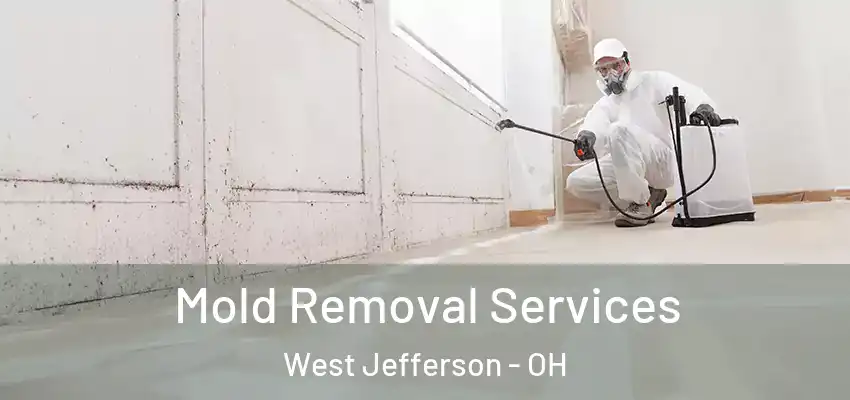  Mold Removal Services West Jefferson - OH