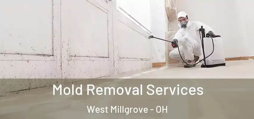  Mold Removal Services West Millgrove - OH