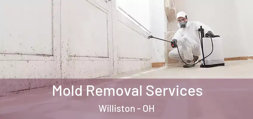Mold Removal Services Williston - OH