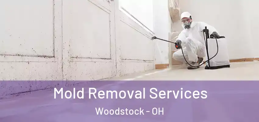 Mold Removal Services Woodstock - OH