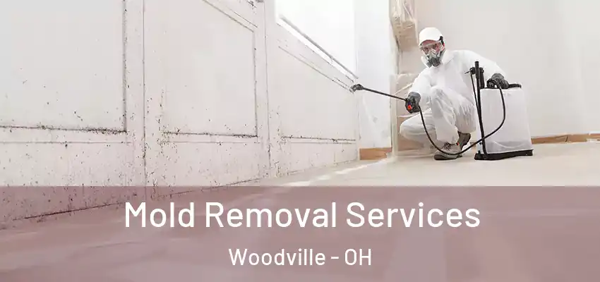  Mold Removal Services Woodville - OH