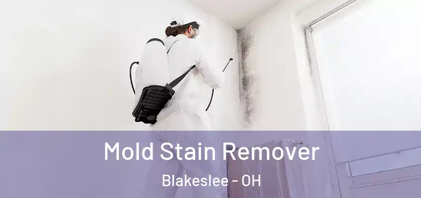  Mold Stain Remover Blakeslee - OH