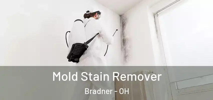 Mold Stain Remover Bradner - OH