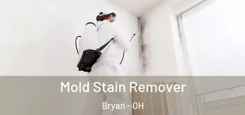  Mold Stain Remover Bryan - OH
