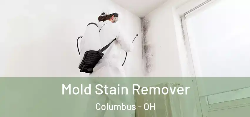  Mold Stain Remover Columbus - OH