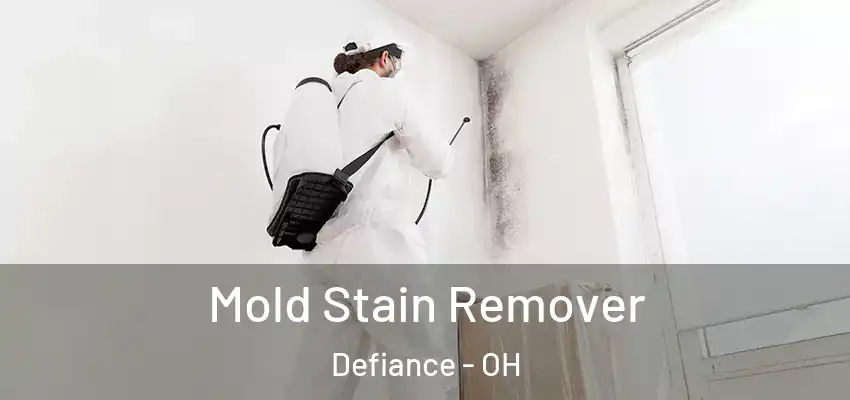  Mold Stain Remover Defiance - OH