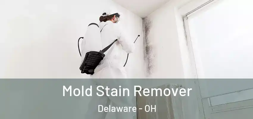 Mold Stain Remover Delaware - OH
