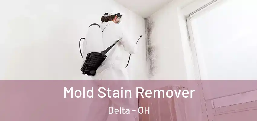  Mold Stain Remover Delta - OH