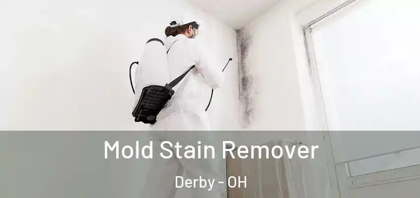  Mold Stain Remover Derby - OH
