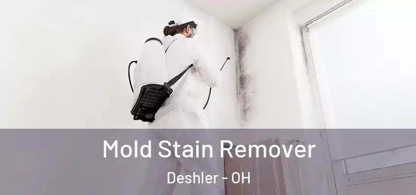  Mold Stain Remover Deshler - OH