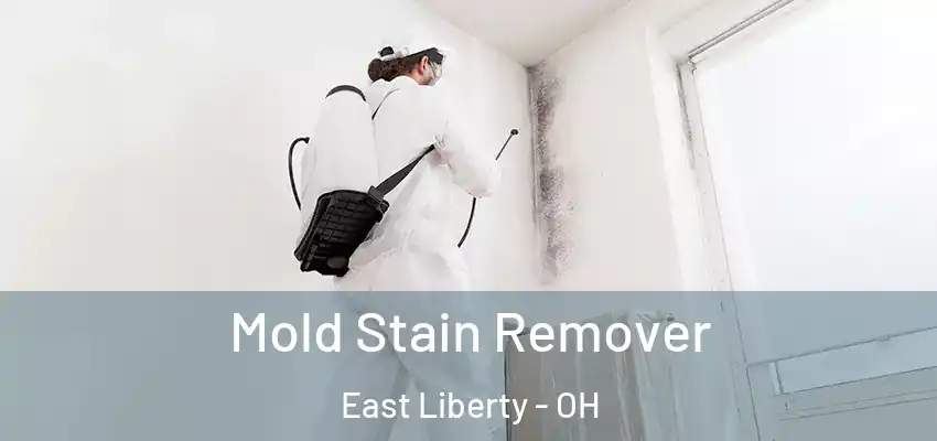  Mold Stain Remover East Liberty - OH