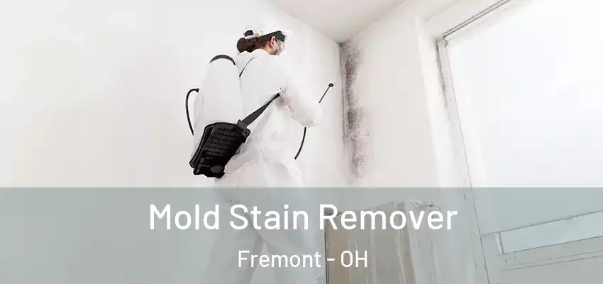  Mold Stain Remover Fremont - OH