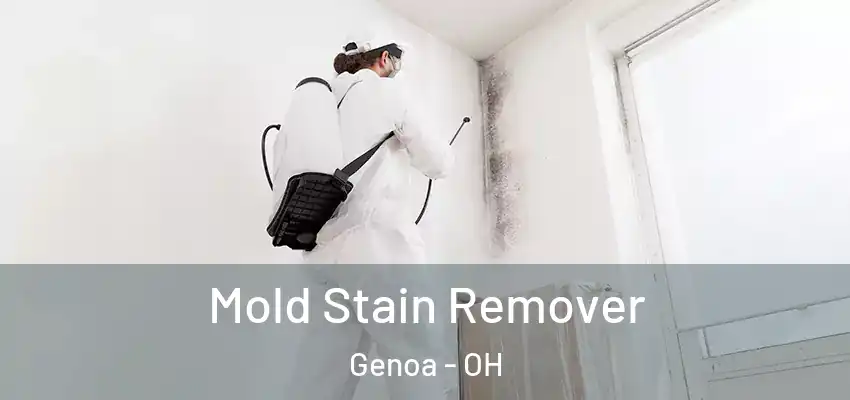  Mold Stain Remover Genoa - OH