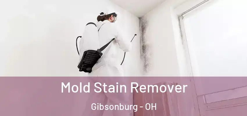  Mold Stain Remover Gibsonburg - OH
