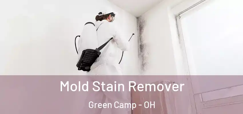 Mold Stain Remover Green Camp - OH