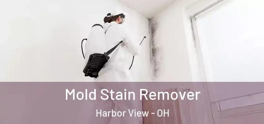  Mold Stain Remover Harbor View - OH