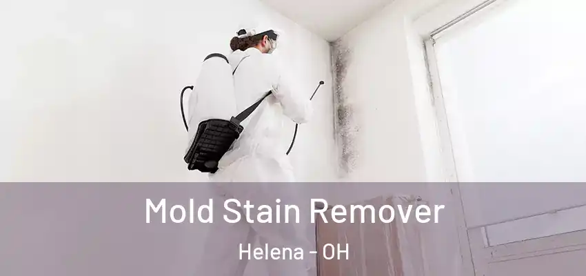  Mold Stain Remover Helena - OH