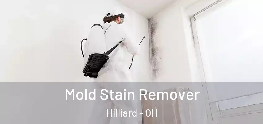  Mold Stain Remover Hilliard - OH