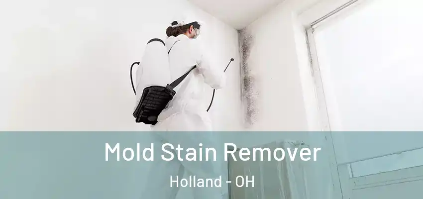  Mold Stain Remover Holland - OH