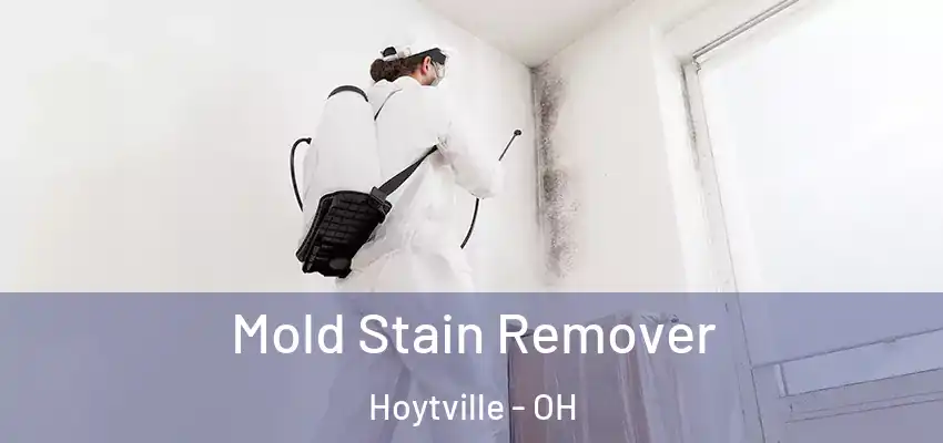 Mold Stain Remover Hoytville - OH
