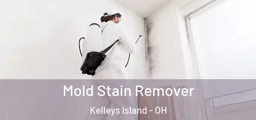  Mold Stain Remover Kelleys Island - OH