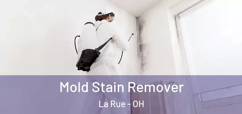  Mold Stain Remover La Rue - OH