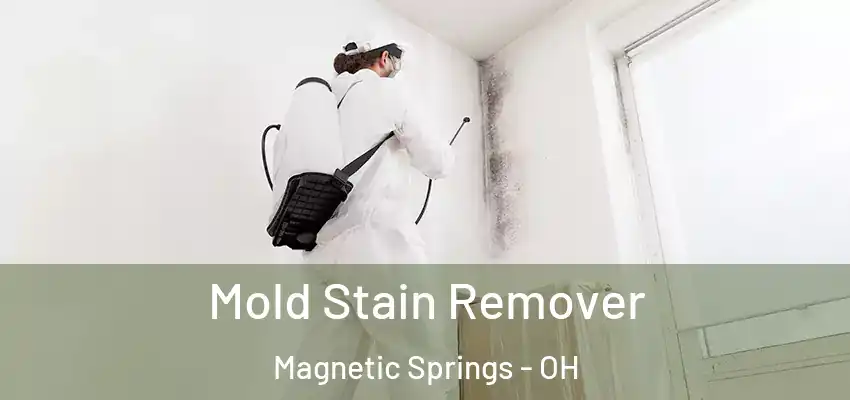  Mold Stain Remover Magnetic Springs - OH