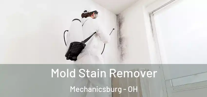  Mold Stain Remover Mechanicsburg - OH