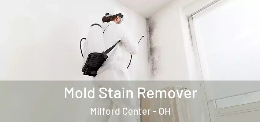 Mold Stain Remover Milford Center - OH
