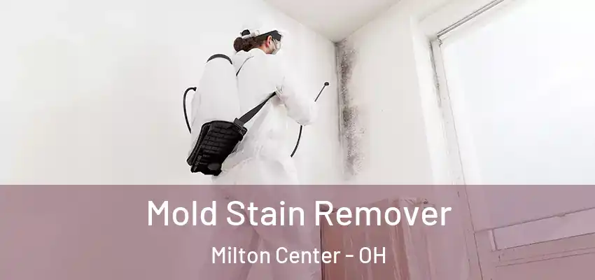  Mold Stain Remover Milton Center - OH