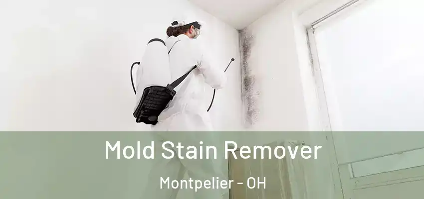  Mold Stain Remover Montpelier - OH
