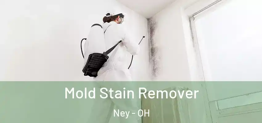  Mold Stain Remover Ney - OH