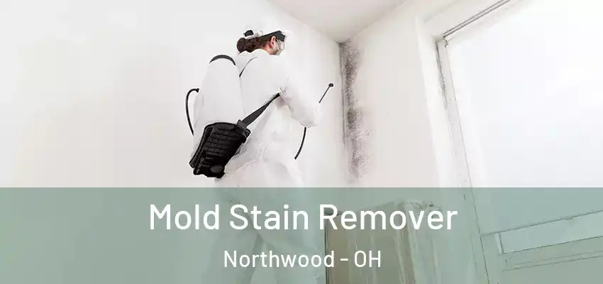  Mold Stain Remover Northwood - OH