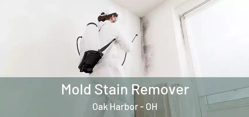  Mold Stain Remover Oak Harbor - OH