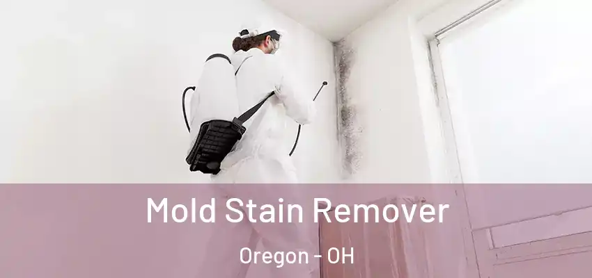 Mold Stain Remover Oregon - OH