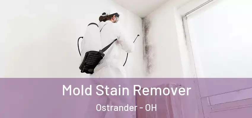 Mold Stain Remover Ostrander - OH
