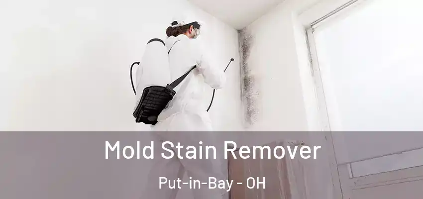 Mold Stain Remover Put-in-Bay - OH