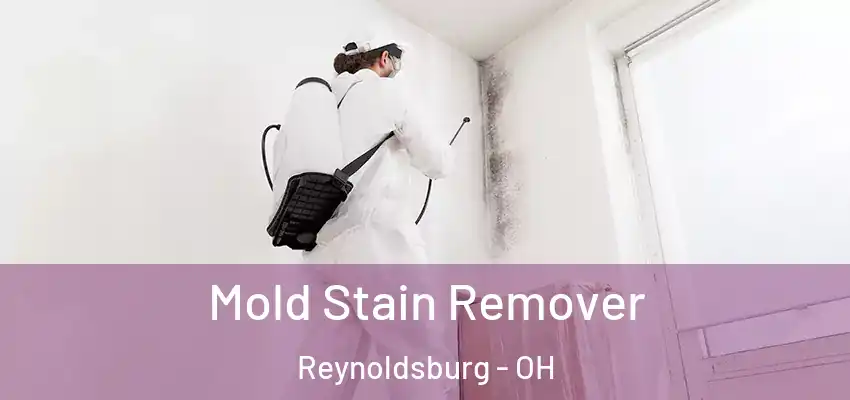 Mold Stain Remover Reynoldsburg - OH