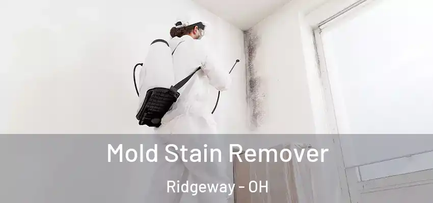 Mold Stain Remover Ridgeway - OH