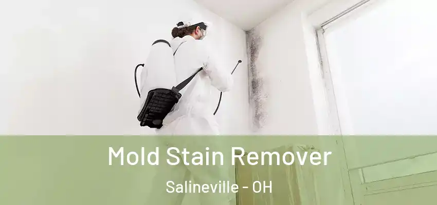  Mold Stain Remover Salineville - OH