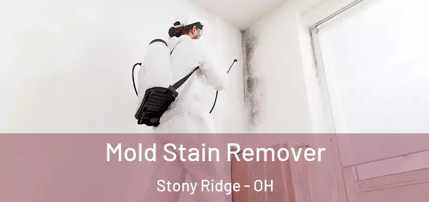  Mold Stain Remover Stony Ridge - OH