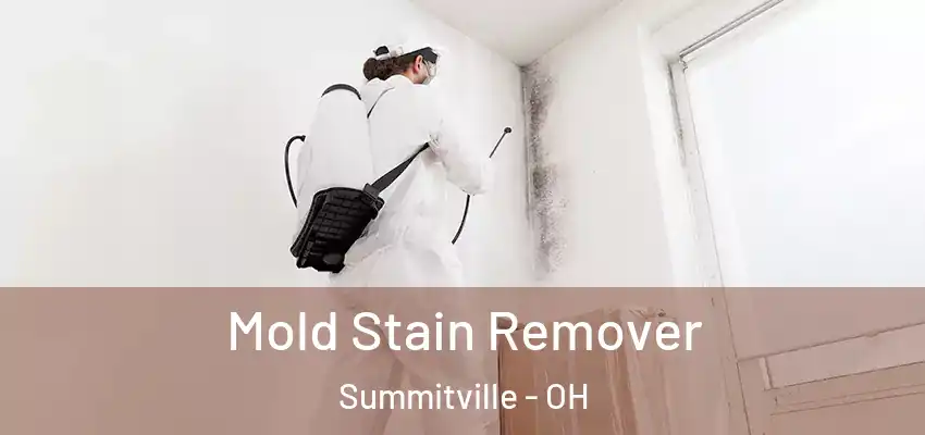  Mold Stain Remover Summitville - OH