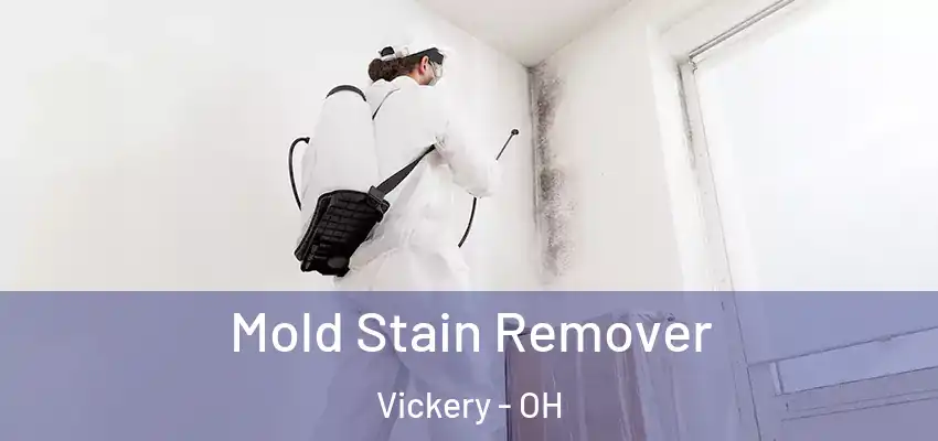  Mold Stain Remover Vickery - OH