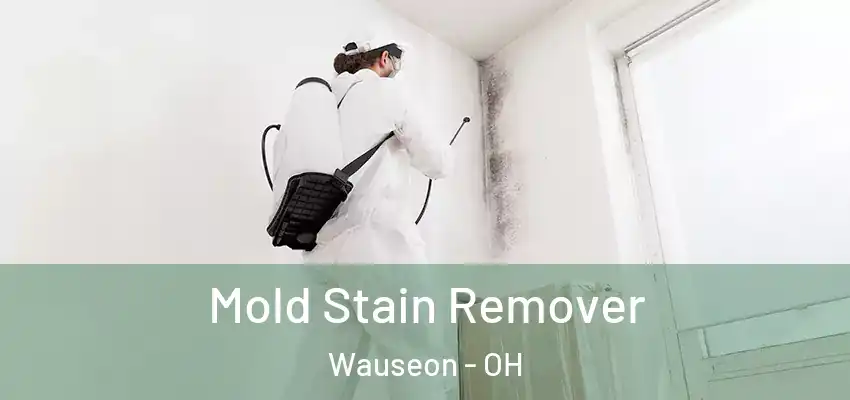  Mold Stain Remover Wauseon - OH